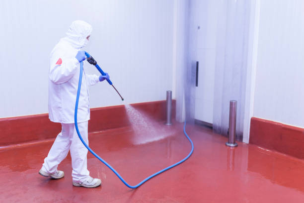 Trusted Owings, MD  Pressure Washing Services Experts