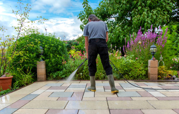 Best Sidewalk and Walkway Cleaning  in Owings, MD